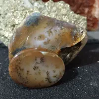 سنگ راف . عقیق . شجر