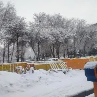 خدمات حسابداری ، حسابرسی ،مالیاتی ، مدیریتی و بیمه