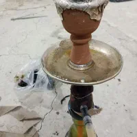 قلیان دوسیب یک ساله