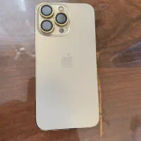 13pro