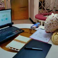 تدریس خصوصی ریاضی دوم تا دهم تابستانه (خانم)