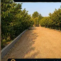 280متر-باغچه-درلم-اباد