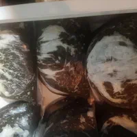 سبزی خورشتی خانگی