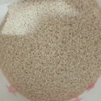 برنج عنبربو خوزستان