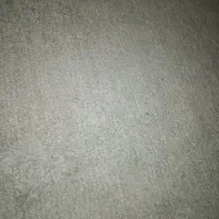 موکت پالاز