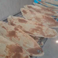 شاطر تنوری