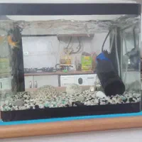 آکواریوم با لوازم