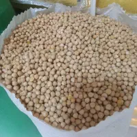 نخود ریز اعلا پزا امسالی  برنج. نخودفلافلی و..