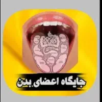 چکاپ کامل بدن فقط از روی عکس زبان به صورت رایگان