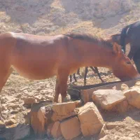 قیمت ۱۲۵ملیون