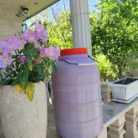 سرکه انگور