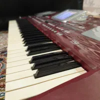 ارگ کیبورد pa500