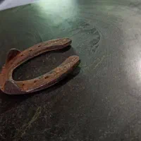 نعل اسب