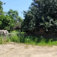 زمین 521 متری سرولات سند تک برگ