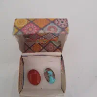 دوعددنگین اصل