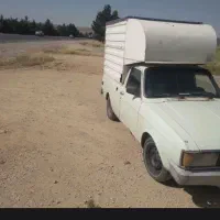 وانت سالمون مفت