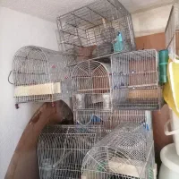 قفس سهره
