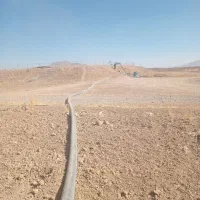 40-هکتار-زمین-کشاورزی-خجشت-اقلید-شیراز