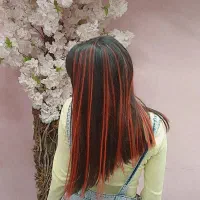 اکستن.شن با دست.گاه فقط شاخه ای ۱۵ با هر قد و رنگی