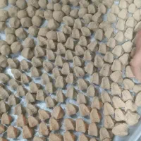 کلگ شیرین تازه کیلوی 220
