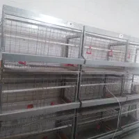 قفس مرغ تخمگذار