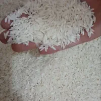 برنج میانه