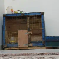 قفس پرنده