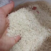 برنج هاشمی درجه یک کاملا اورگانیک تضمینی