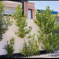 باغ-ویلا160متردوبلکس-سکونت-سهیلیه-زعفرانیه-کردان