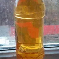سرکه سیب