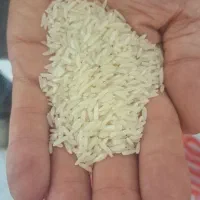 برنج هاشمی درجه یک