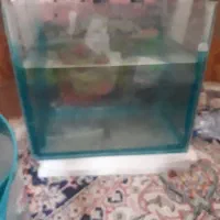 آکواریوم