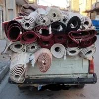 قالیشویی ایلیا نامی درخشان در دنیای پاکیزگی