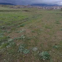زمین کارگرشمالی
