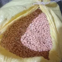 نخود کرمانشاه