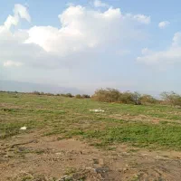 زمین-فروشی