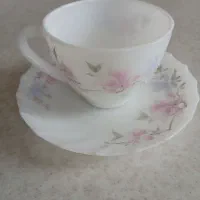 دو مدل فنجان ارکوپال
