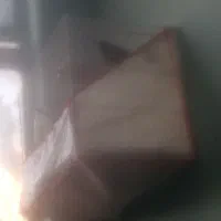پرنده  با ۳ قفس