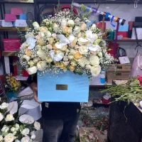 رز هلندی فقط شاخه ای ۲۰هزار قیمت واقعی