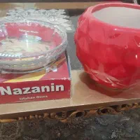 دو عدد جا پیتزایی و فنجان و دیس