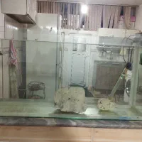 اکواریوم