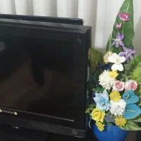 تلویزیون ۳۲ اینچ سنام