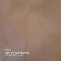 موکت|موکت|بروجرد, |دیوار