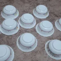 دیس و پیاله ارکو پال. اردو خوری کریستال