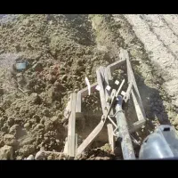 گاو اهن مـیـزون