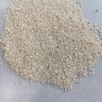 نیم دانه عنبر بو درجه یک