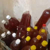 قوره قزوین درجه یک