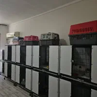 فروش وسایل پانسیون گربه