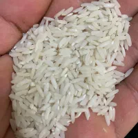 برنج،هاشمی