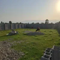 زمین-480متری-و550مسکونی-باپروانه-ساخت